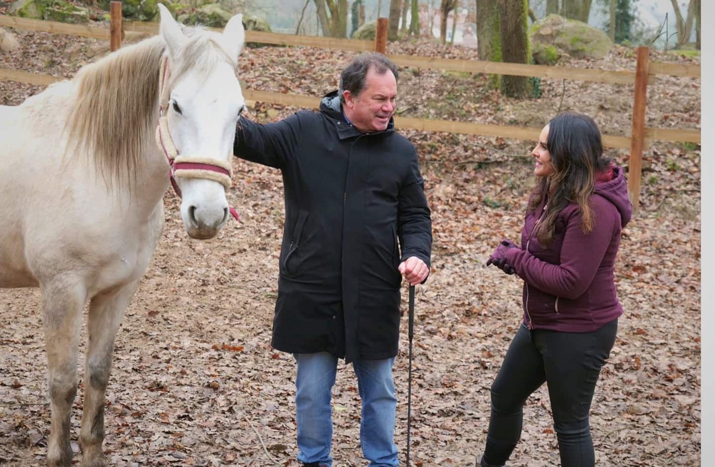 Séance d'équicoaching avec un cheval blanc dans le pré